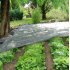 Агроволокно 30 г/м2 біле 10,5х50м "Shadow" ( Чехія )